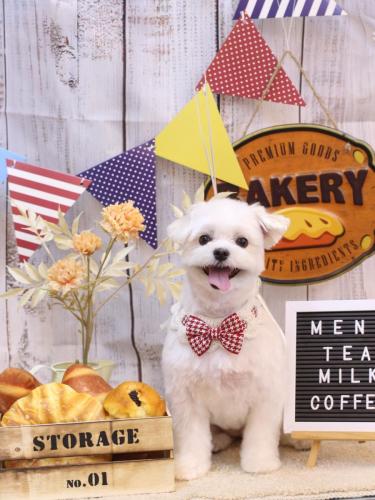 20240921まるちゃん